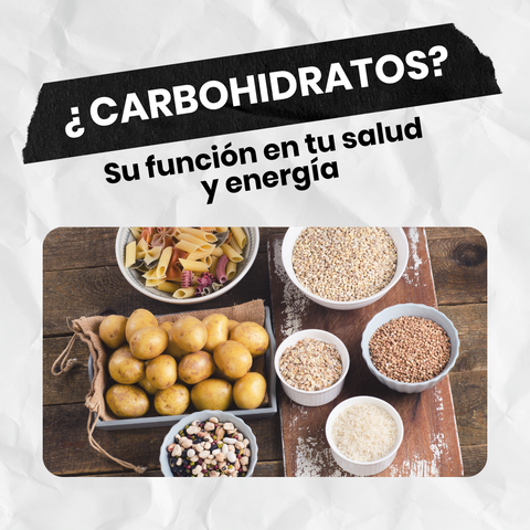 funcion de los carbohidratos