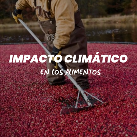 Cambio climático y la industria alimentaria: Desafíos y soluciones