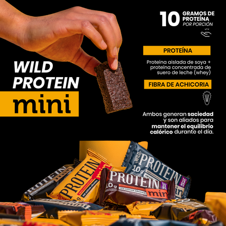 Wild Protein Mini Vegana Chocolate Naranja 24 unidades