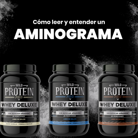 suplementos-aminograma-proteina