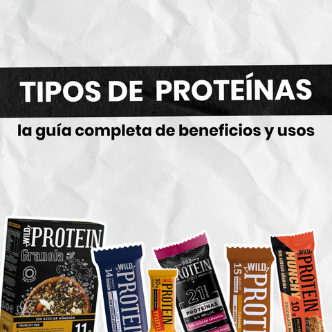 proteinas-tipos-beneficios-importancia