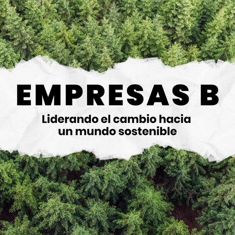 empresas B ejemplos