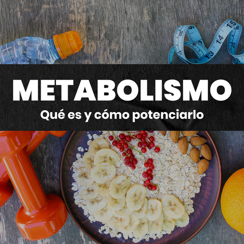 metabolismo que es