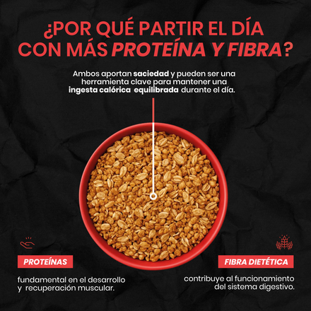 Wild Protein Granola Golden 300 g