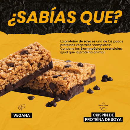 Wild Protein Munchy Chocolate Maní 16 unidades