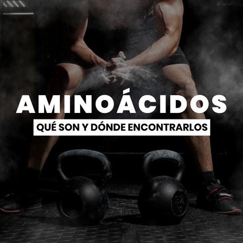 aminoacidos