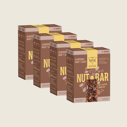Pack x 4 Barritas de Frutos Secos Cacao Nibs Maní - 4 unidades