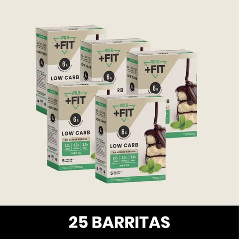 Pack 5 x Wild Fit Menta