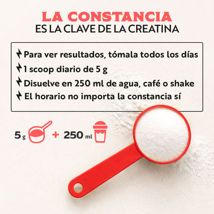 Creatina Monohidratada en Polvo 500 g