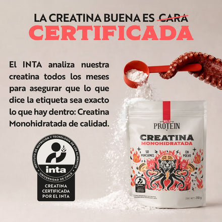 Creatina Monohidratada en Polvo 250 g