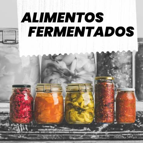 alimentos fermentados