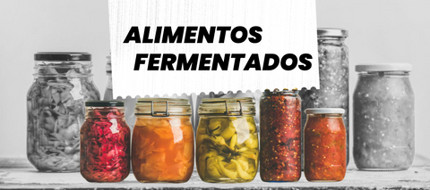 alimentos fermentados