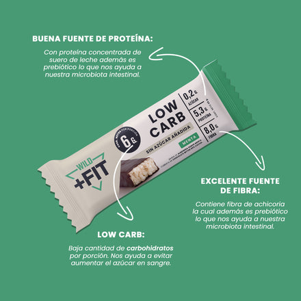 Pack 5 x Wild Fit Menta