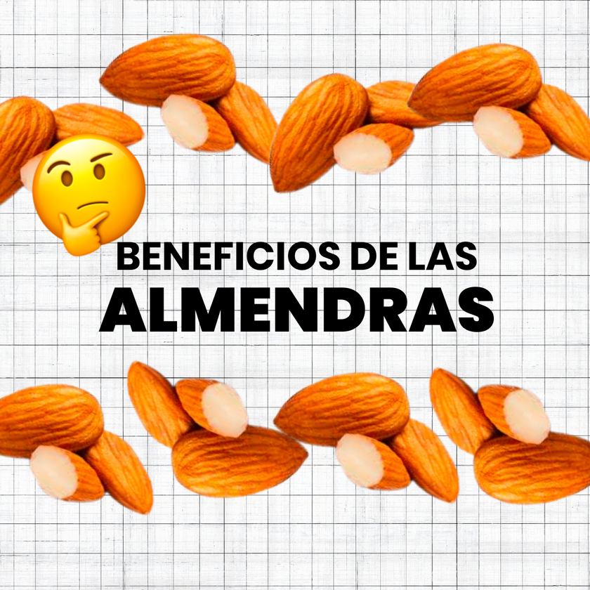 14 Beneficios De La Almendra Al Comerla Diariamente Wild Foods 7388