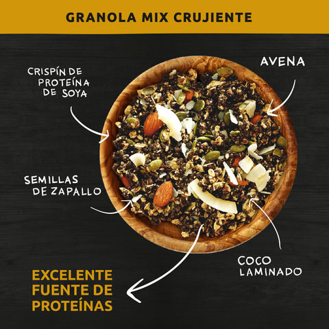 Granola mix crunchy 300gwild protein