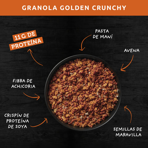 Granola Golden Crunchy 300 gr Wild Protein