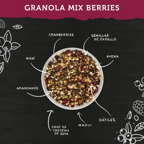 granola berries 300g wild protein