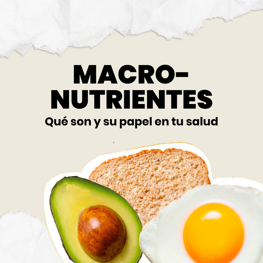 Qué Son Los Macronutrientes Y Micronutrientes Wild Foods 7337