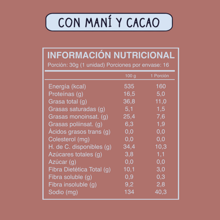 Barra de Frutos Secos Cacao Nibs Maní 16 unidades