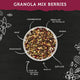 Granola Proteica Mix Berries 300 gr Wild Protein